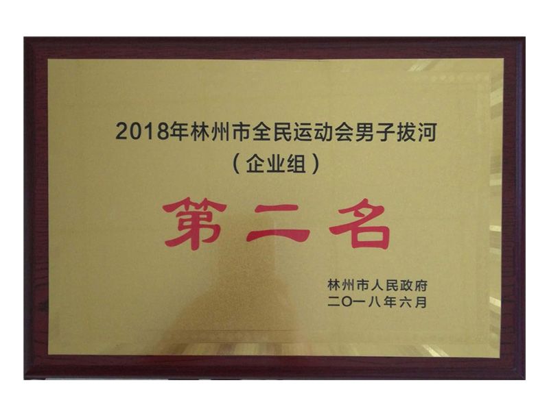 林州市全民 運(yùn)動(dòng)會(huì)企業(yè)組男子拔河第二名